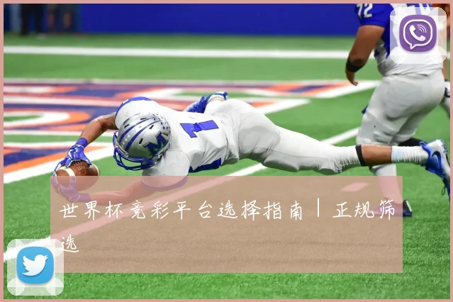 世界杯竞彩平台选择指南｜正规筛选