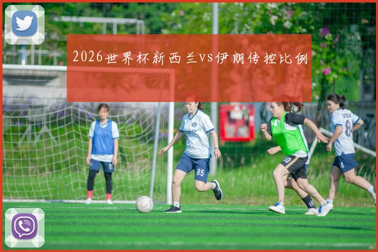 2026世界杯新西兰vs伊朗传控比例
