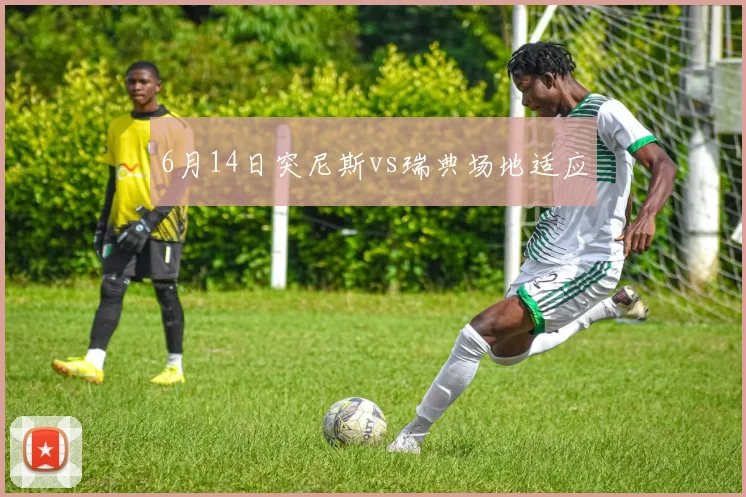 6月14日突尼斯vs瑞典场地适应