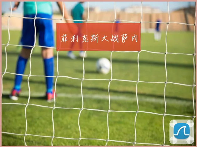 菲利克斯大战萨内